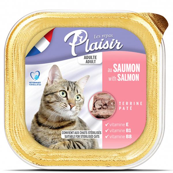 BARQUETTE PLAISIR PATE SAUMON 100GR