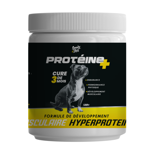 S&D PROTEINE Plus 500g 