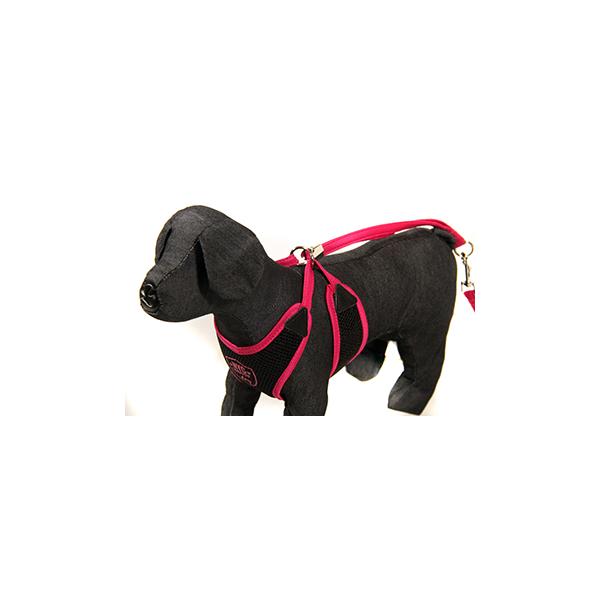 PARURE CHIEN ROSE FLUO L