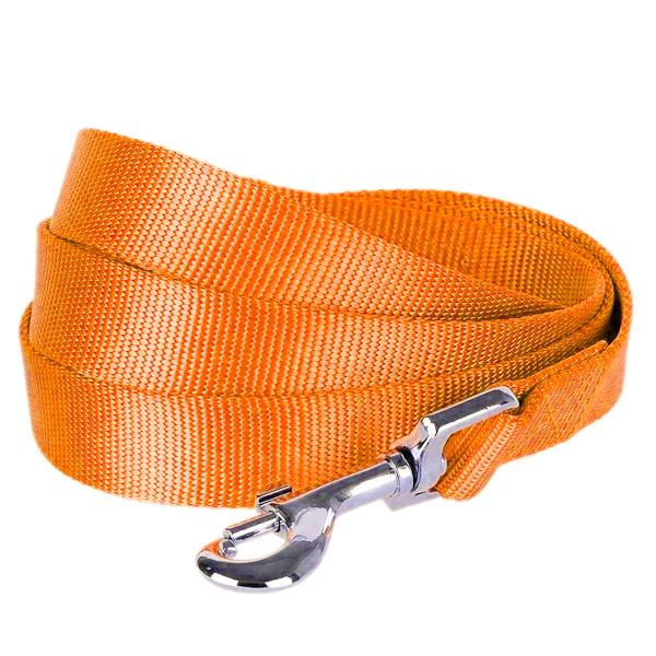 LAISSE NYLON 25 MM ORANGE