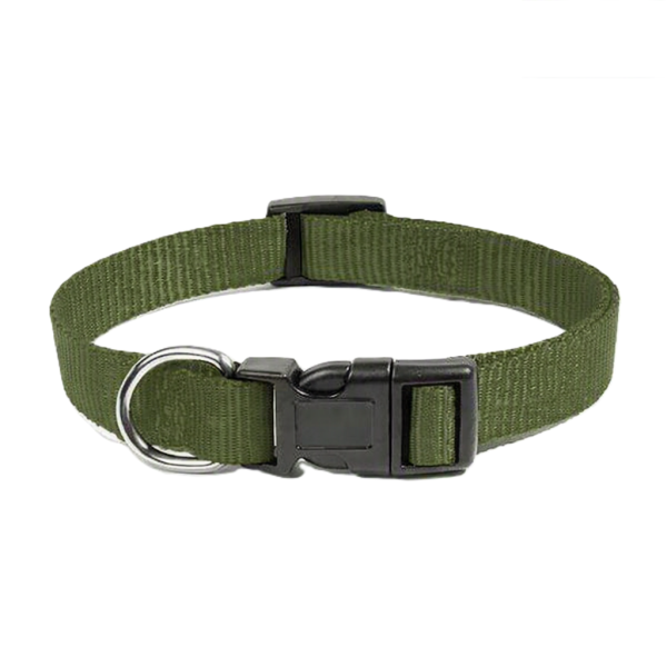 COLLIER NYLON ZANILOVE 25 MM VERT MILITAIRE