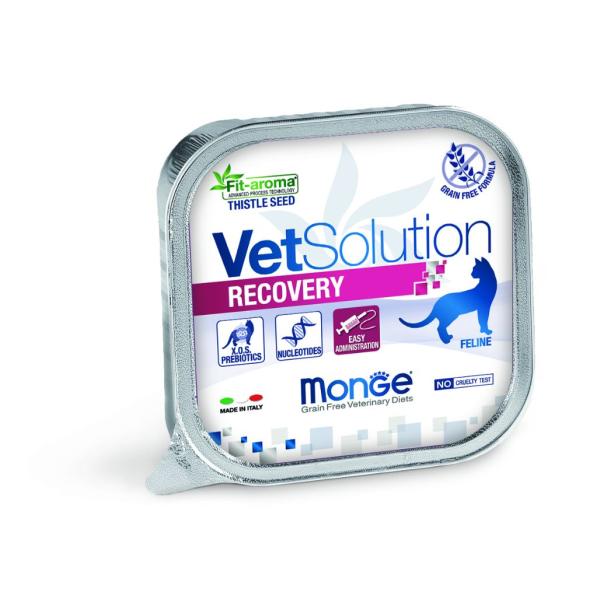 VET BARQ. CAT RECOVERY 100 G