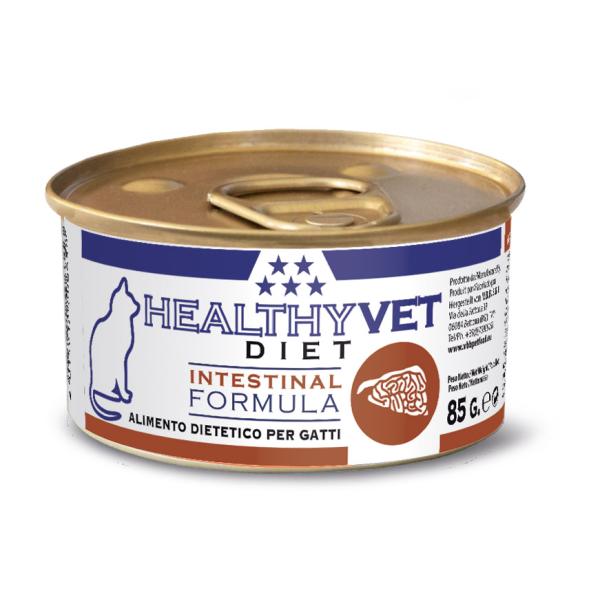 HEALTHY VET  INTESTINAL CAT 85 GR