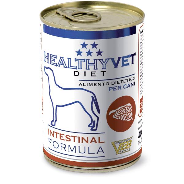 HEALTHY VET INTESTINAL DOG 400 GR