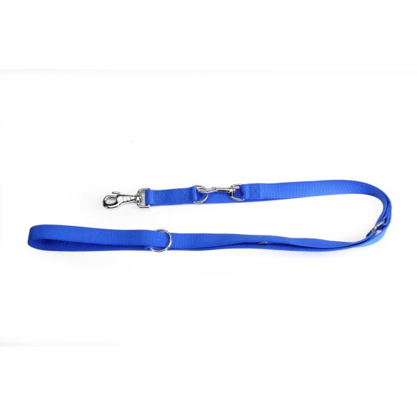 LAISSE DE DRESSAGE CAMON  25MM X 2M BLEU