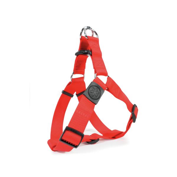 HARNAIS CHIEN CAMON FLASH 38MM ROUGE