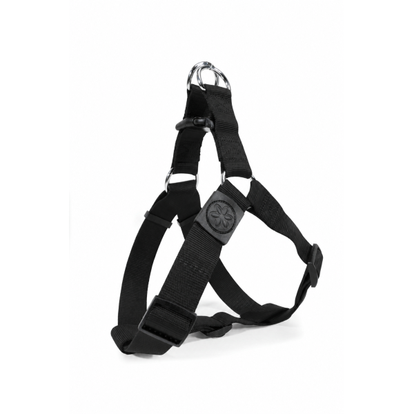 HARNAIS CHIEN CAMON FLASH 38MM NOIR