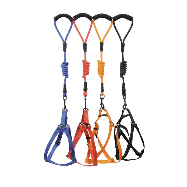 PARURE CAMON REFLEX HARNAIS  25MM + LAISSE CORDE 12X1200MM