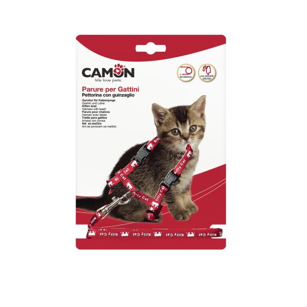 PARURE POUR CHATONS CAMON MIXED