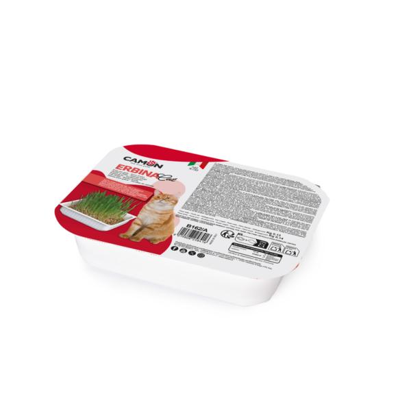 HERBE A CHAT AUX GRAINES D ORGE CAMON 130GR