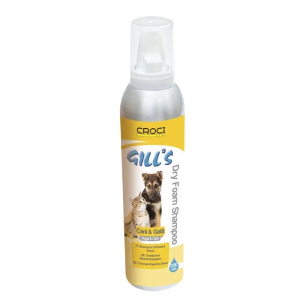 SHAMPOING GILL’S DRY FOAM 250ml 