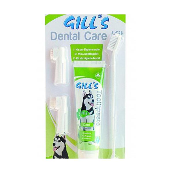 GILL'S KIT DENTAL CARE