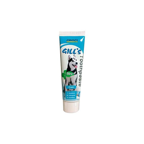 GILL'S MINT TOOTH PASTE 100g