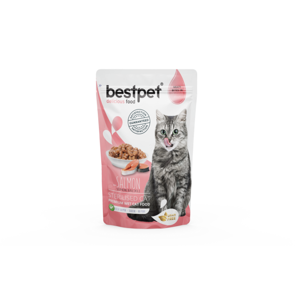 BESTPET POCHON GF SALMON  STER 85GR